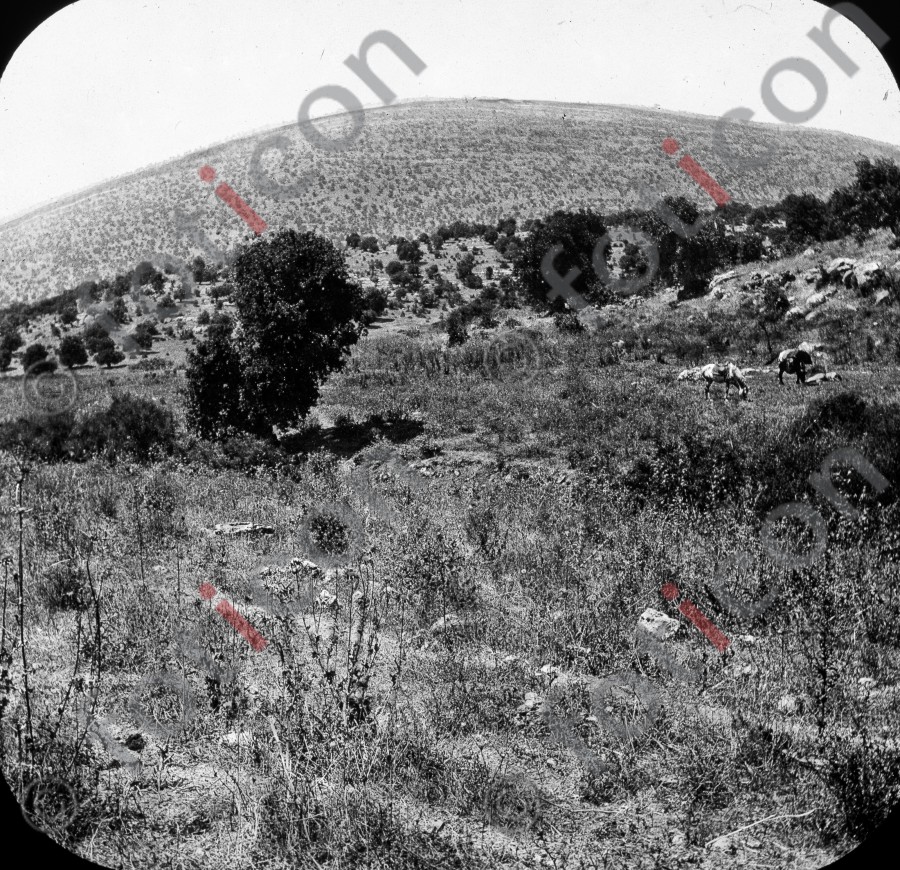 Berg Tabor  | Mountian Tabor - Foto foticon-simon-149a-055-sw.jpg | foticon.de - Bilddatenbank für Motive aus Geschichte und Kultur